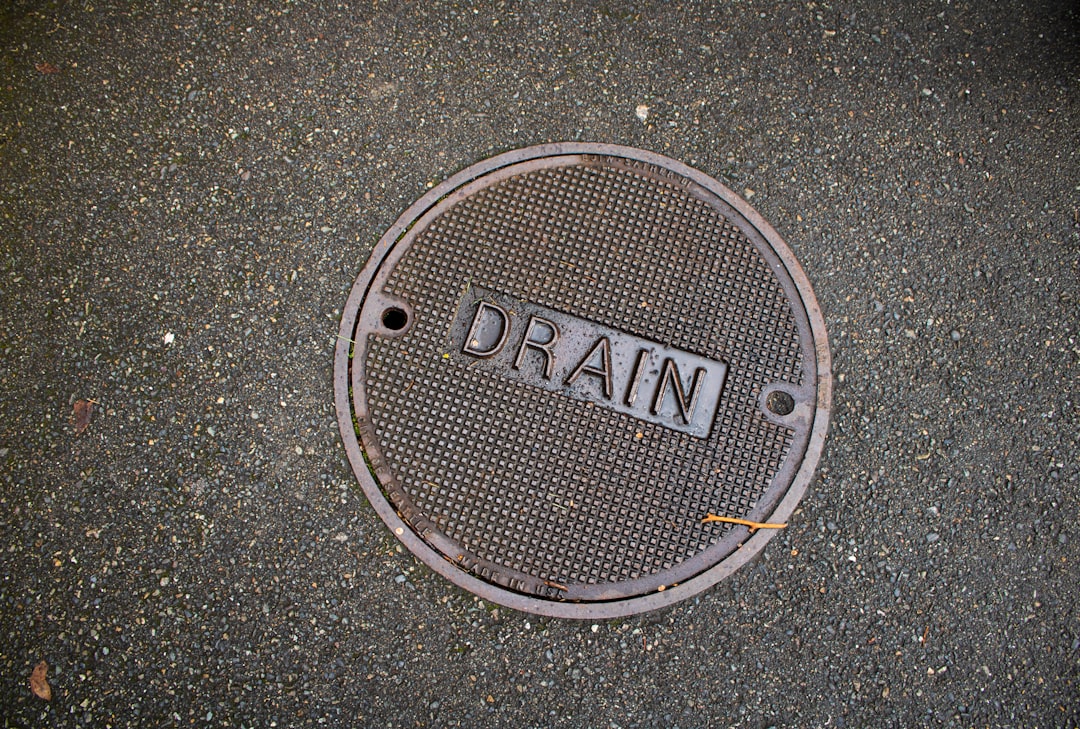 What Exactly Are Drain Flies?