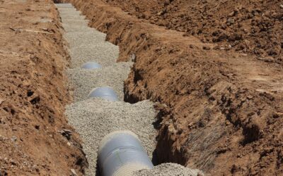Tree Roots in Your Sewer Line: Warning Signs and Solutions