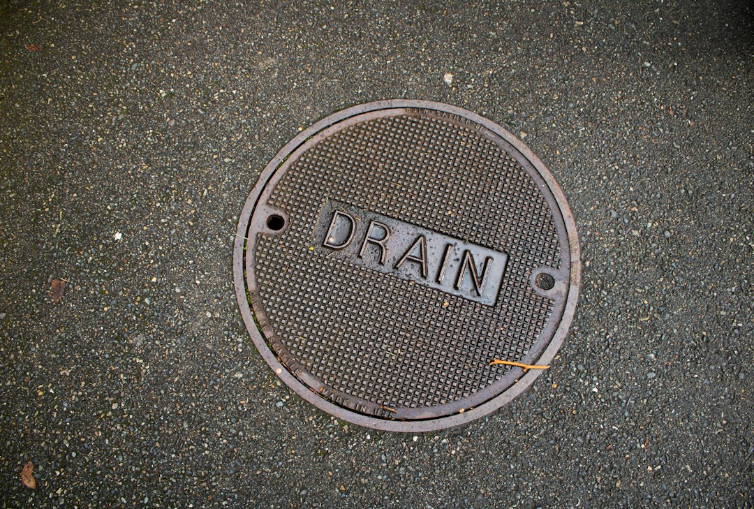 Severe Drain Blockages In The Main Sewer Linedrains